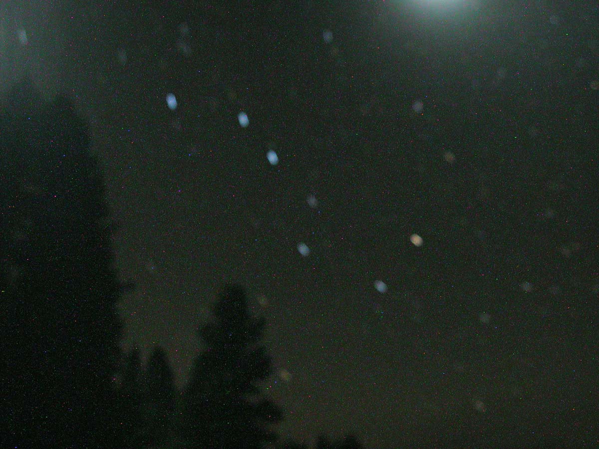 DSCN4416