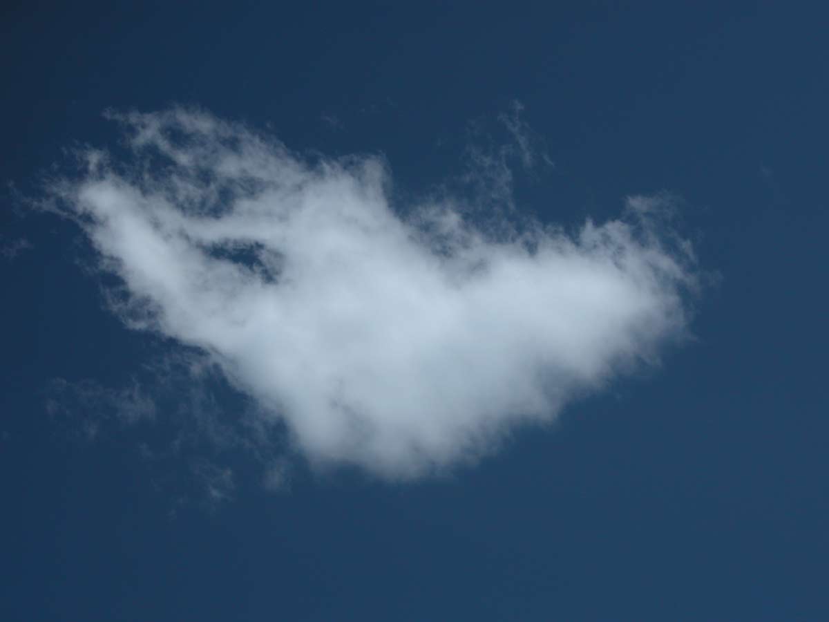 DSCN4467