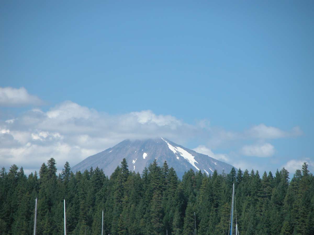 DSCN4469