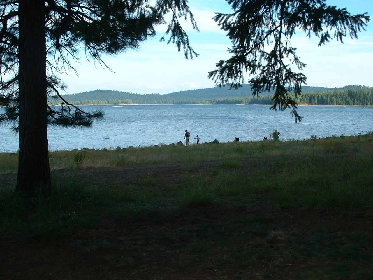 ESCF0002