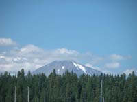 DSCN4469