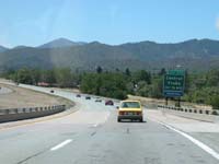 DSCN4519
