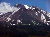 DSCN4533
